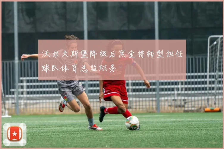 沃尔夫斯堡降级后黑金将转型担任球队体育总监职务